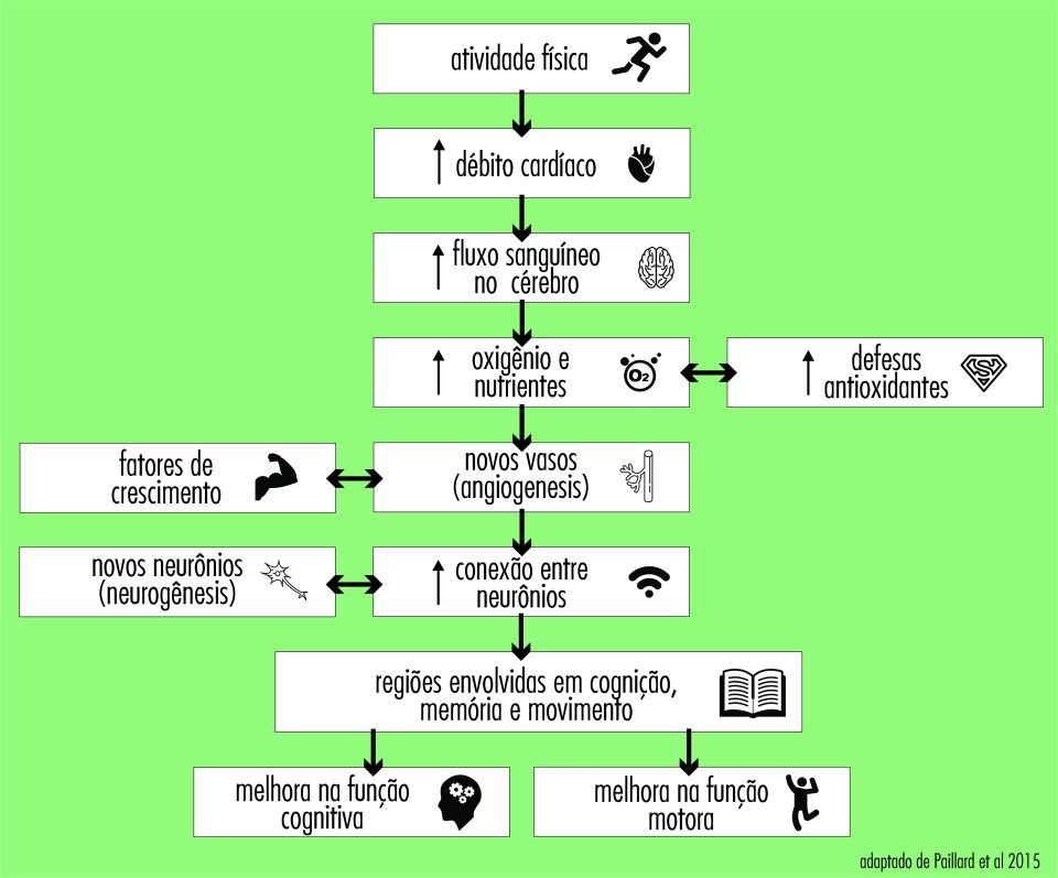 exercicio e cérebro